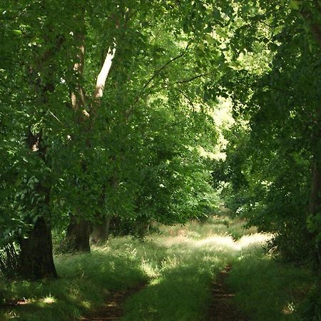 Ferienhaus Auf Gut Sautmannshausen Haselünne Zewnętrze zdjęcie