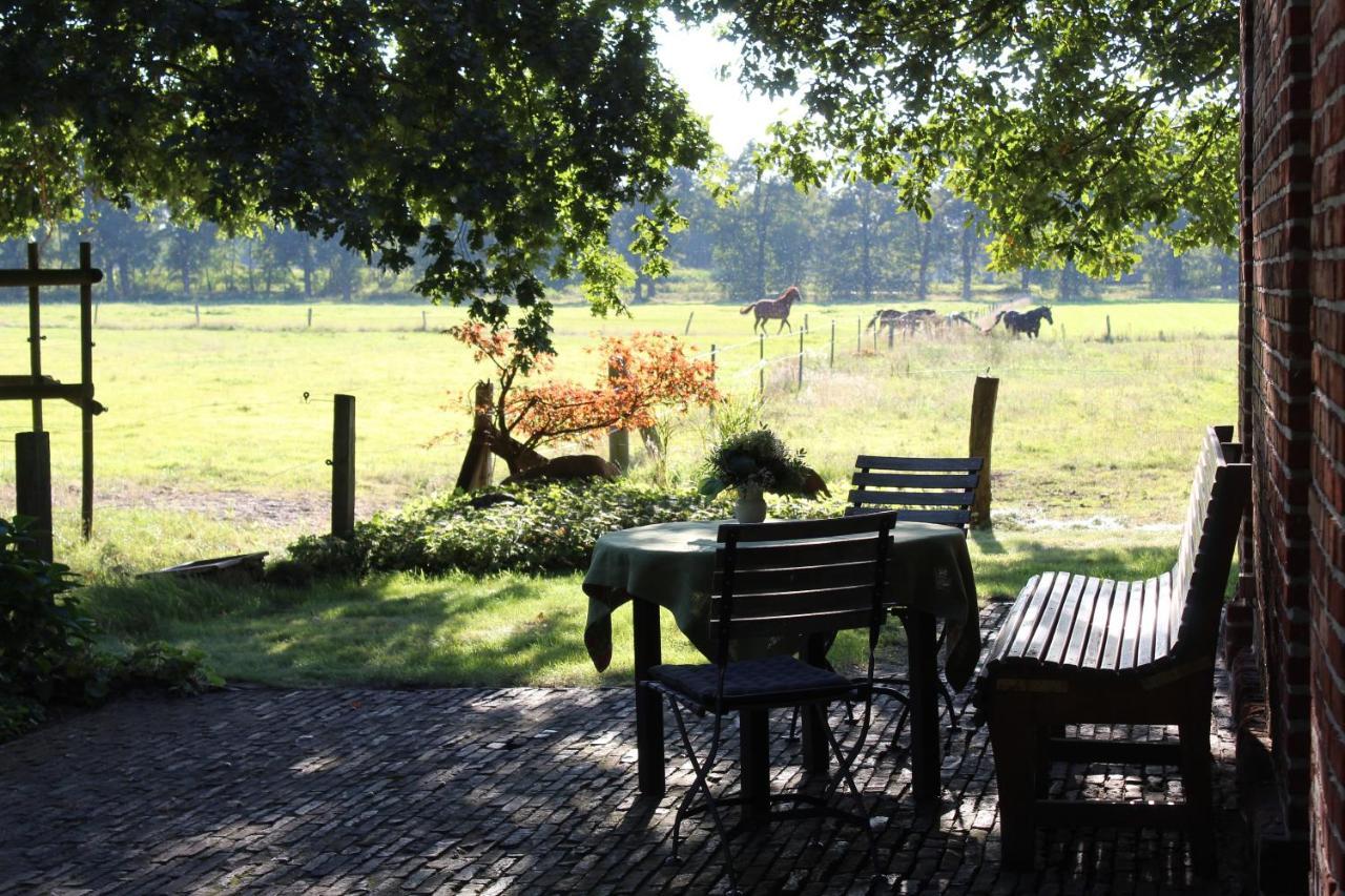 Ferienhaus Auf Gut Sautmannshausen Haselünne Zewnętrze zdjęcie