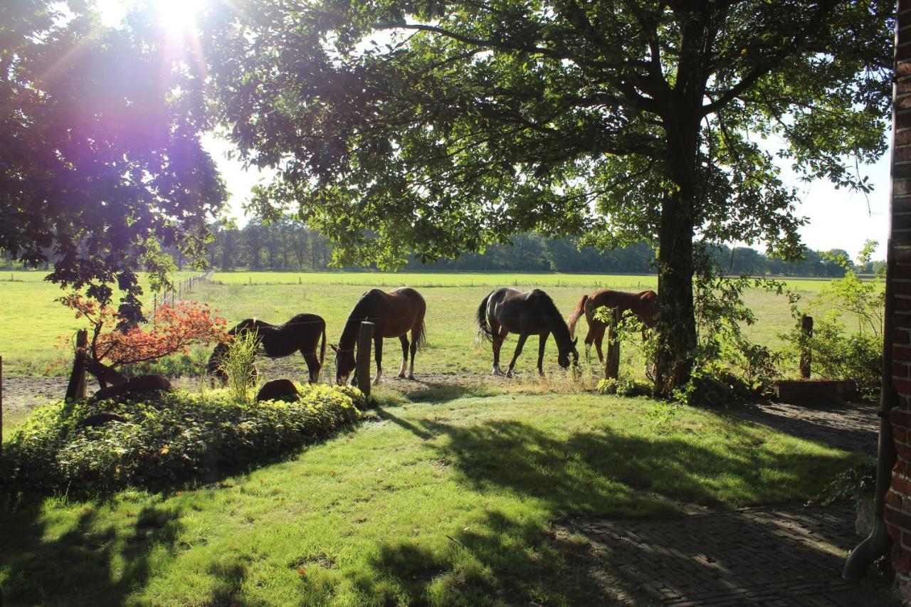 Ferienhaus Auf Gut Sautmannshausen Haselünne Zewnętrze zdjęcie
